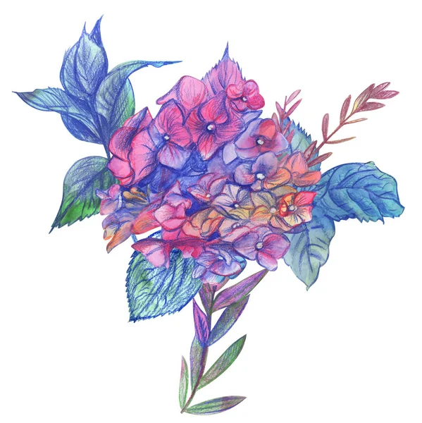Flor rosa hortensia con ramitas verdes pintadas en acuarela —  Fotos de Stock