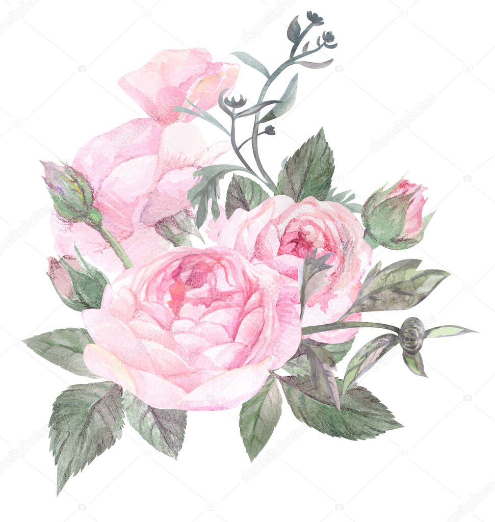 Vintage watercolor illustration with floral arrangement of delicate roses