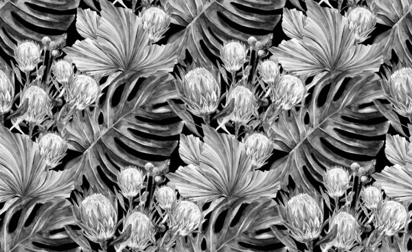 Black and white watercolor seamless pattern with dried protea flowers and monstera leaves