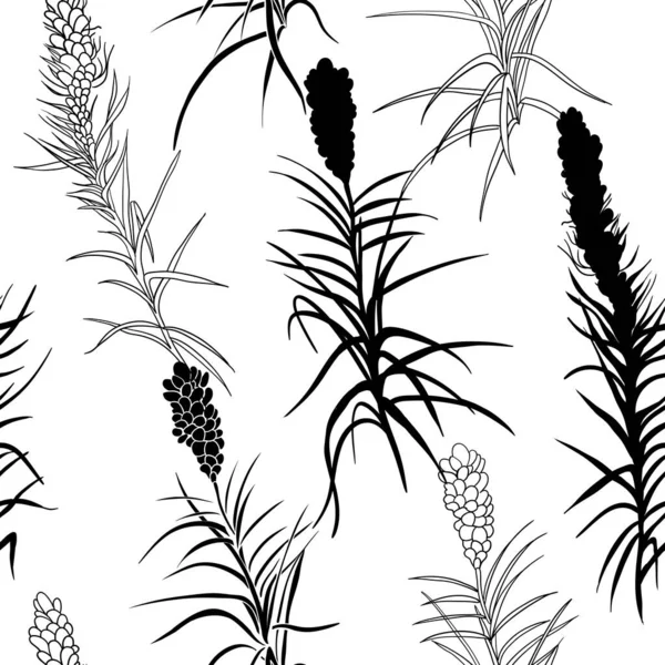 Patrón botánico inconsútil en blanco y negro en vector — Archivo Imágenes Vectoriales