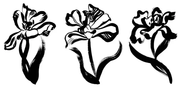 Um conjunto de flores de tulipa monocromáticas desenhadas em guache preto — Fotografia de Stock