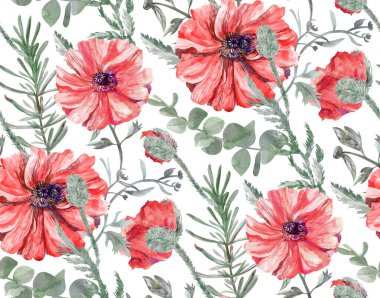 Beyaz arkaplanda kırmızı gelincik çiçekleri ve okaliptüs yapraklı suluboya deseni