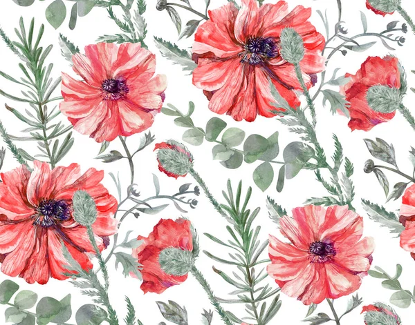 Υδατογραφία μοτίβο με κόκκινα άνθη παπαρούνας και φύλλα ευκαλύπτου σε λευκό φόντο — Φωτογραφία Αρχείου