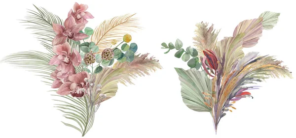 Set de Acuarela ramo de flores secas para crear tarjetas de felicitación boho —  Fotos de Stock