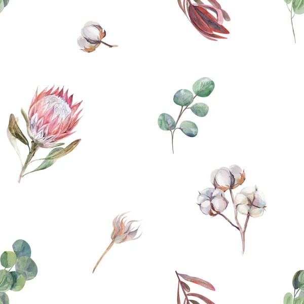 Patrón de acuarela botánica con flores de protea sobre fondo blanco —  Fotos de Stock