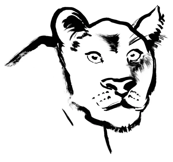 La ilustración de la cabeza de una leona se dibuja en gouache negro aislado sobre un fondo blanco — Foto de Stock