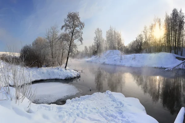 Winterlandschap Stockafbeelding