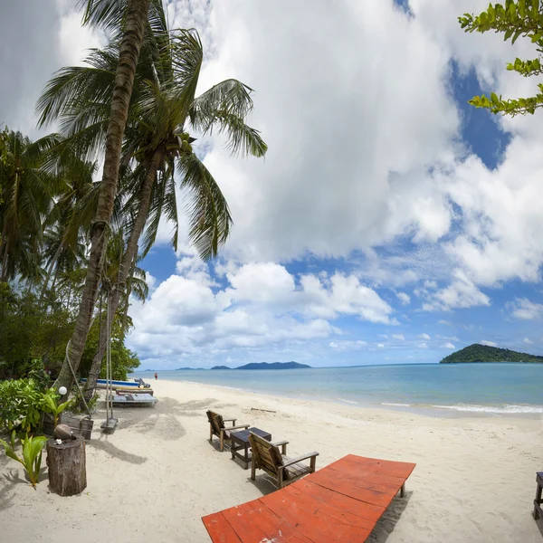 Beach with palm — Stock Photo, Image