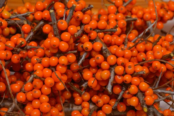 Frutos Mar Buckthorn Fundo — Fotografia de Stock