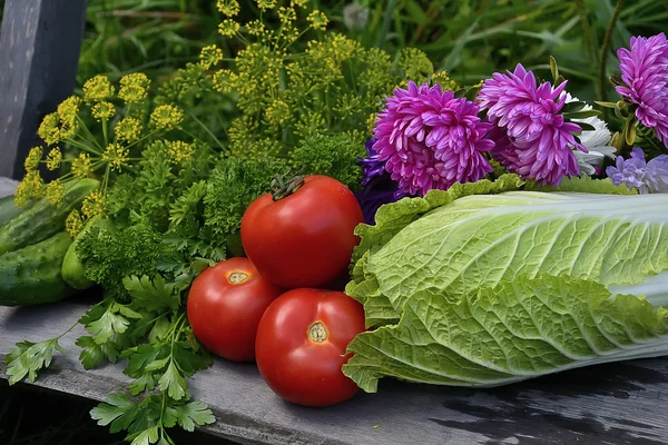 Natureza morta com verduras — Fotografia de Stock