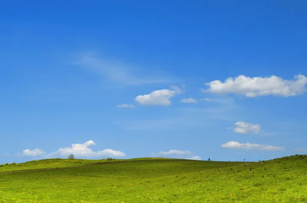 Beautiful summer day. Stock Picture