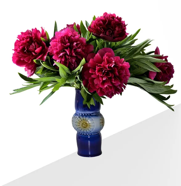 Bouquet of peonies in a blue ceramic vase. — Stock Photo, Image