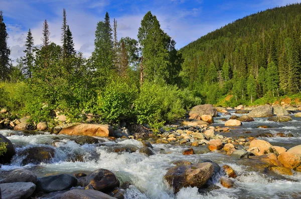 Fiume di montagna — Foto Stock