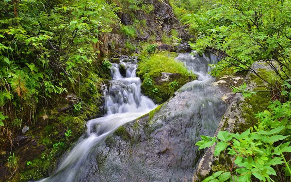 牧歌的な滝 — ストック写真