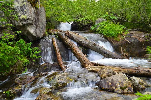 Horský potok s vodopádem — Stock fotografie