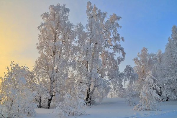 冬の日没の風景. — ストック写真
