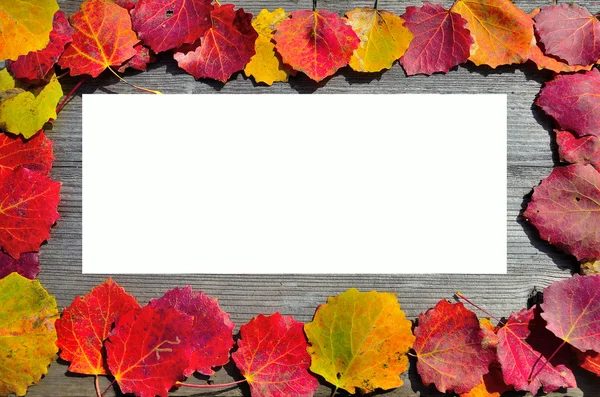 Een frame van de herfst bladeren. — Stockfoto