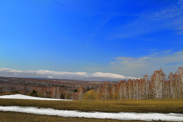 Early spring landscape