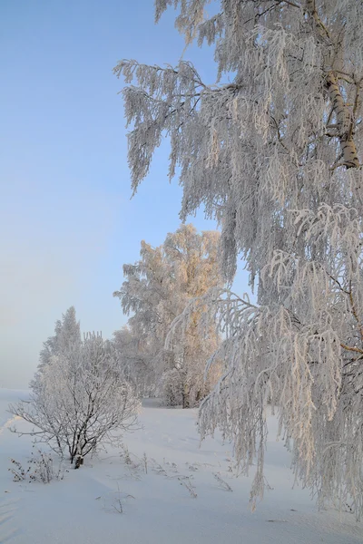 Schöne Winterlandschaft — Stockfoto