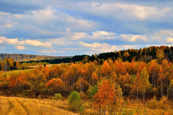 Podzimní barvy — Stock fotografie