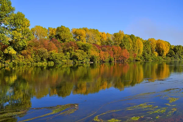 Malerische Herbstlandschaft mit hellen Bäumen am Ufer des Flusses — Stockfoto