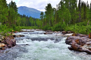 Raging mountain river