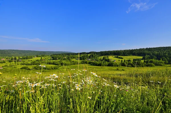 Beautiful summer panorama of Siberian rural landscape — Stock Photo, Image