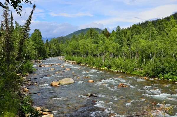 Fiume di montagna — Foto Stock