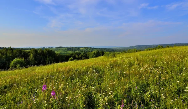 Panorama pejzaż piękny letni — Zdjęcie stockowe