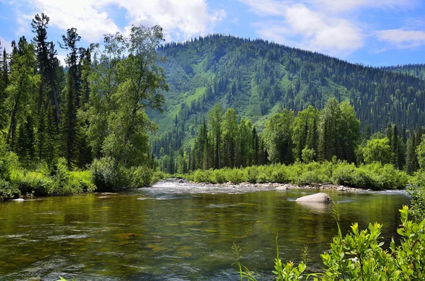 Río de montaña — Foto de Stock