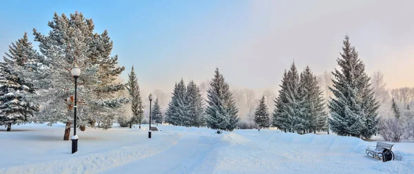 Matin Hiver Dans Parc Enneigé Ville Lever Soleil Neige Givre — Photo