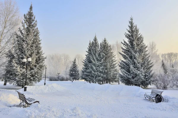 Zimowy Poranek Zaśnieżonym Parku Miejskim Wschodzie Słońca Śnieg Chrypka Pokryte — Zdjęcie stockowe