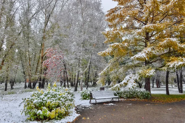 Första Snöfallet Stadsparken Sen Höst Eller Tidig Vinter Landskap Gyllene — Stockfoto