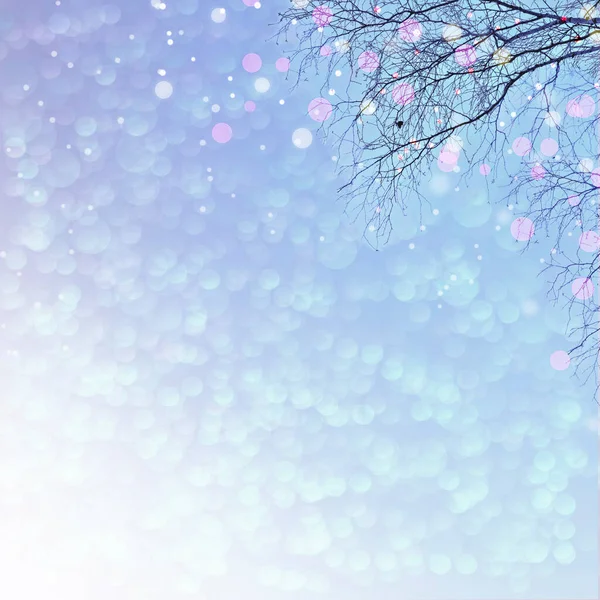 Delicate Pastel Blue Christmas Background Tree Branch Festive Lights Illuminated — Stockfoto