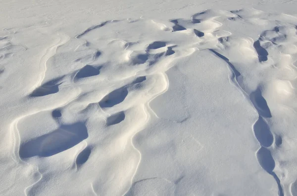 Wind Erzeugte Muster Von Weihnachtstanne Auf Schnee Oberfläche Abstrakte Winter — Stockfoto