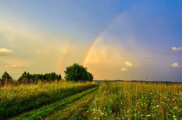 Yaz otlağında inanılmaz bir manzara. Kırsal yolda güzel çift gökkuşağı yayı ve harika bir akşam güneşi altında çiçek açan çayır. Manzara fotoğrafçılığı, yaz kırsalının güzelliği.