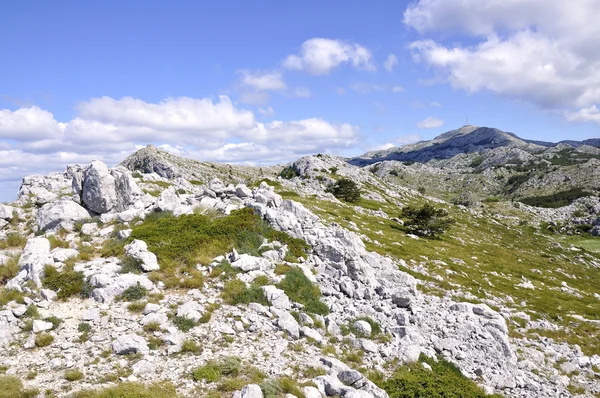 Jure tepe — Stok fotoğraf