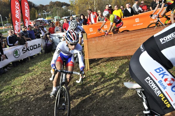 Cyclo Cross UCI República Checa 2013 —  Fotos de Stock