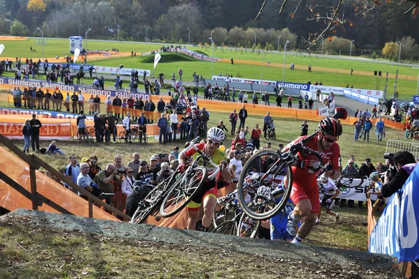 Cyclo Cross UCI República Checa 2013 —  Fotos de Stock