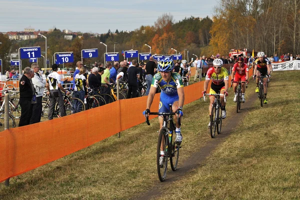 Cyclo cross uci České republiky 2013 — Stock fotografie