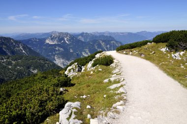 Rocky Dağları üzerinde bak
