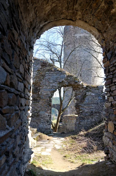 Zřícenina v úplném south bohemian. — Stock fotografie