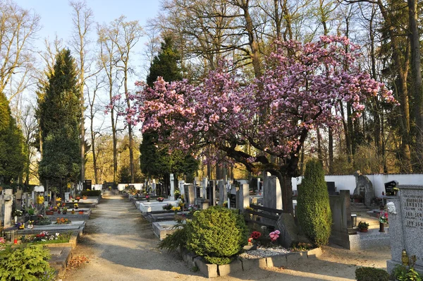 Friedhof — Stockfoto