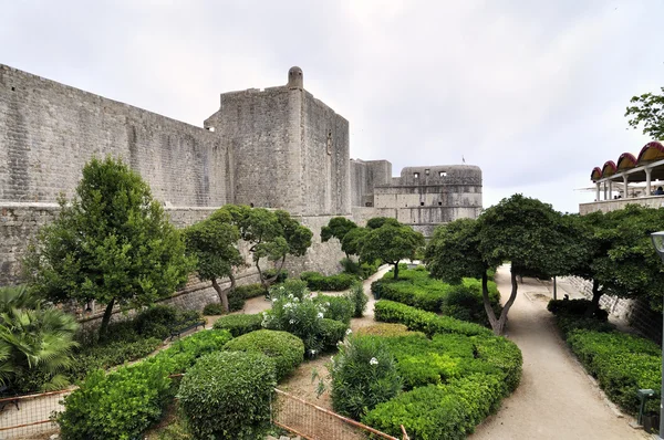 De heer Dubrovnik — Stockfoto