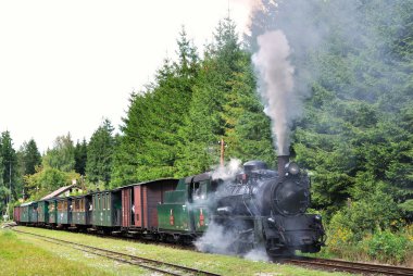 Buhar Treni