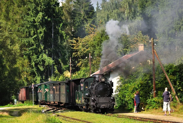 Parní vlak — Stock fotografie