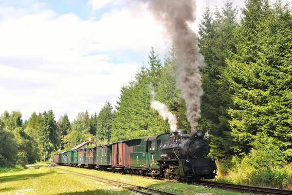 Dampfzug — Stockfoto