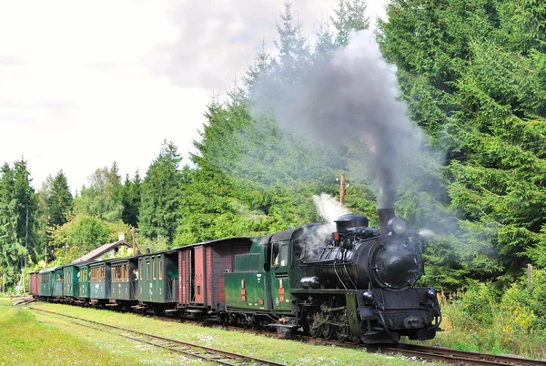 Dampfzug — Stockfoto