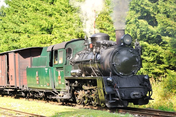 Dampfzug — Stockfoto