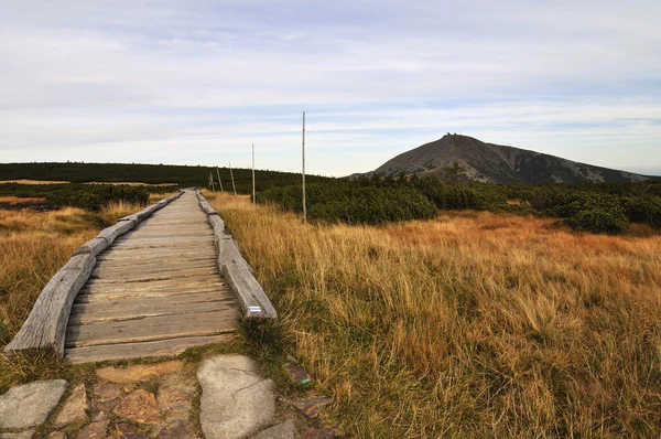 Hill Snezka — Stockfoto